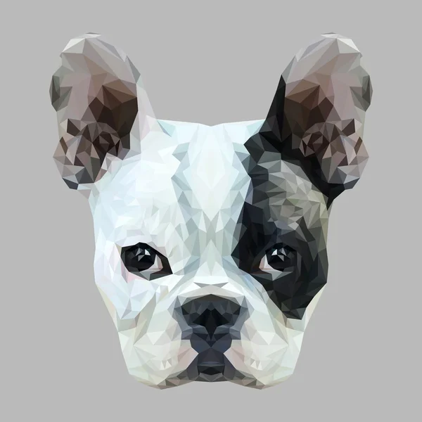 Cara de bulldog francés . — Vector de stock