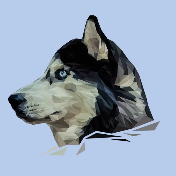 Perro Husky siberiano — Vector de stock