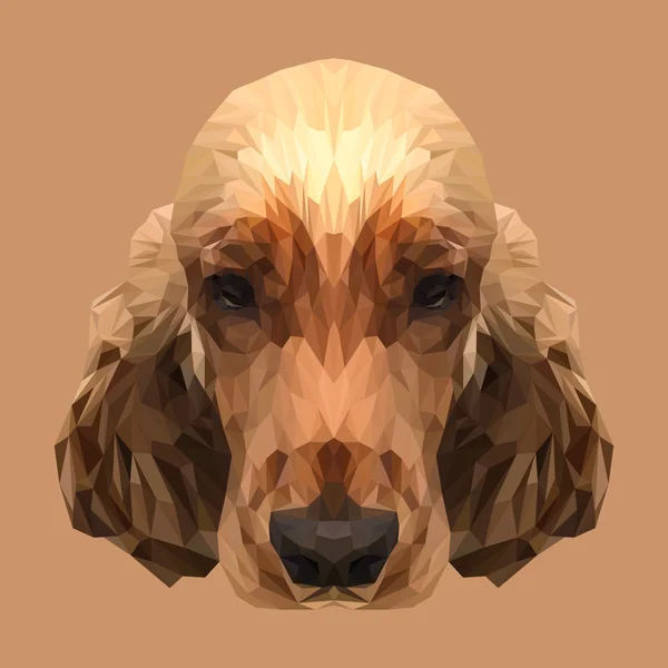 Cocker Spaniel cane animale — Vettoriale Stock