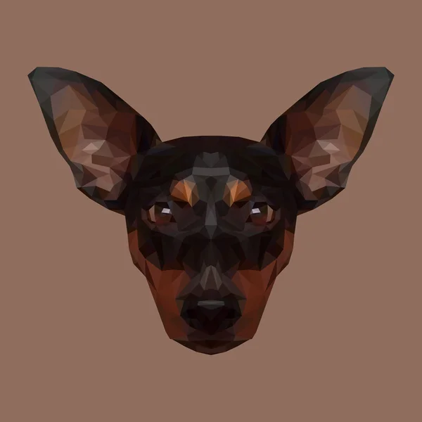 Rysk Toy Terrier hund djur — Stock vektor