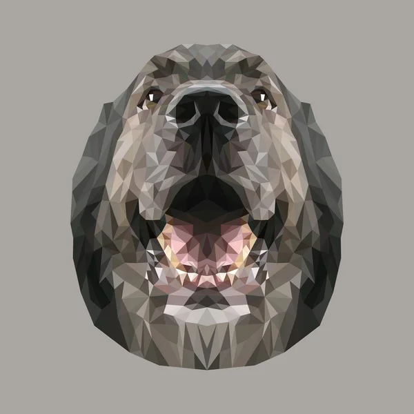 Berger Chien animal low poly design — Image vectorielle