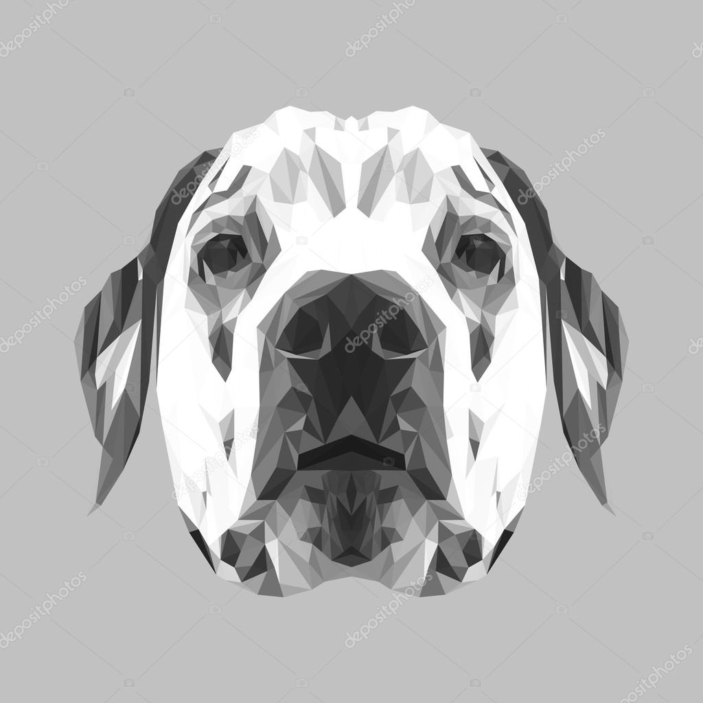 Dalmatian Dog animal low poly design. Triangle vector illustration.