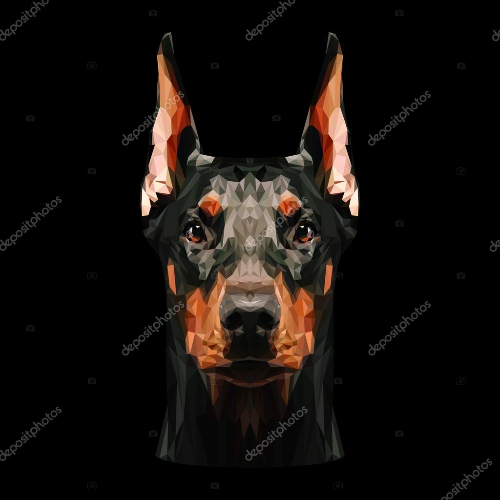 angry doberman pinscher