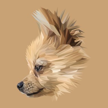 Spitz köpek hayvan düşük Poli Dizayn