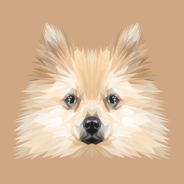 Spitz köpek hayvan düşük Poli Dizayn