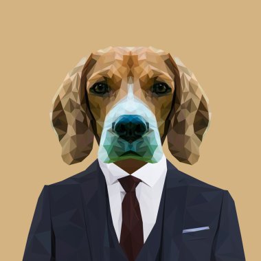 Beagle köpek elbiseli