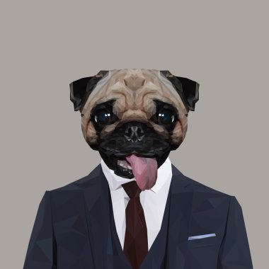 Süpürgeyi pug köpek elbiseli