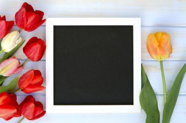 Lale boş siyah kara tahta resim çerçevesi üzerinde beyaz tahta arka plan ile. romantik resim.