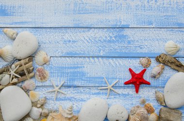 Yaz plaj deniz kavramı. Farklı kabukları, beyaz taşlar ve kum mavi ahşap arka plan. Kırmızı sratfish Merkezi