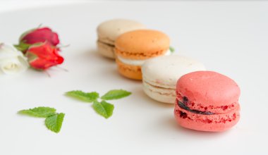 güzel gül ve macarons çeşitleri