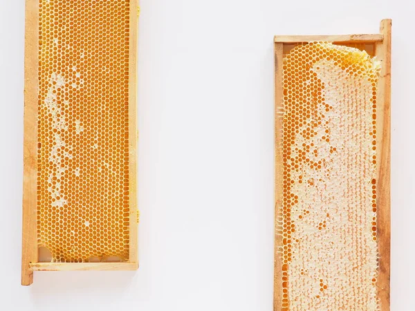 Ovanifrån uppsättning honeycombs gräns ram med kopieringsutrymme — Stockfoto