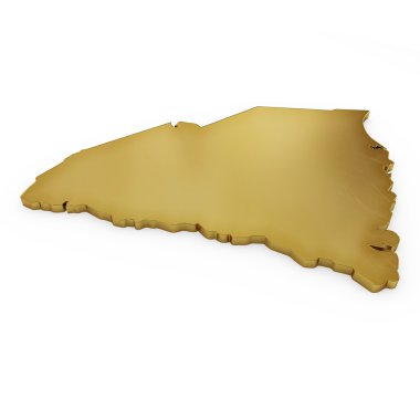 The photorealistic golden shape of South Carolina (series)