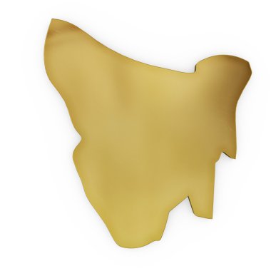 The photrealistic golden shape of Tasmania (series)