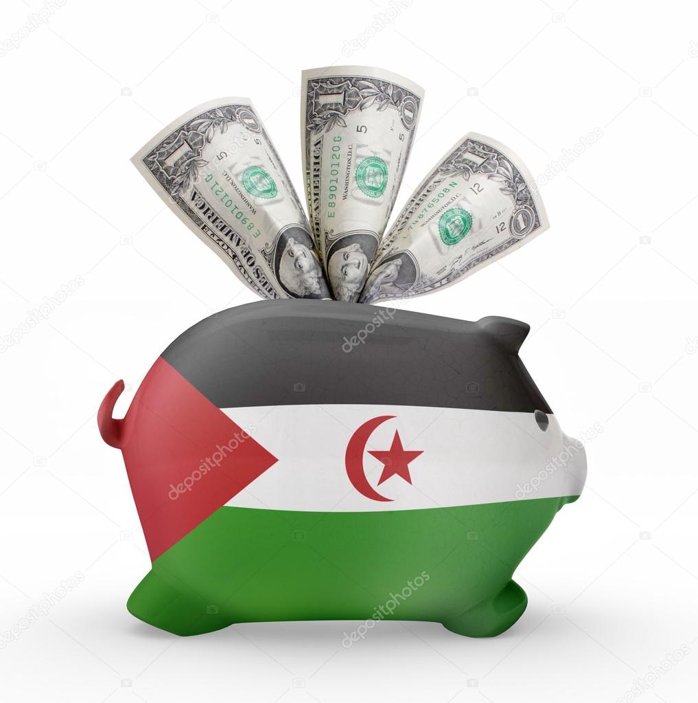Piggy bank with the flag of Western Sahara .(series)