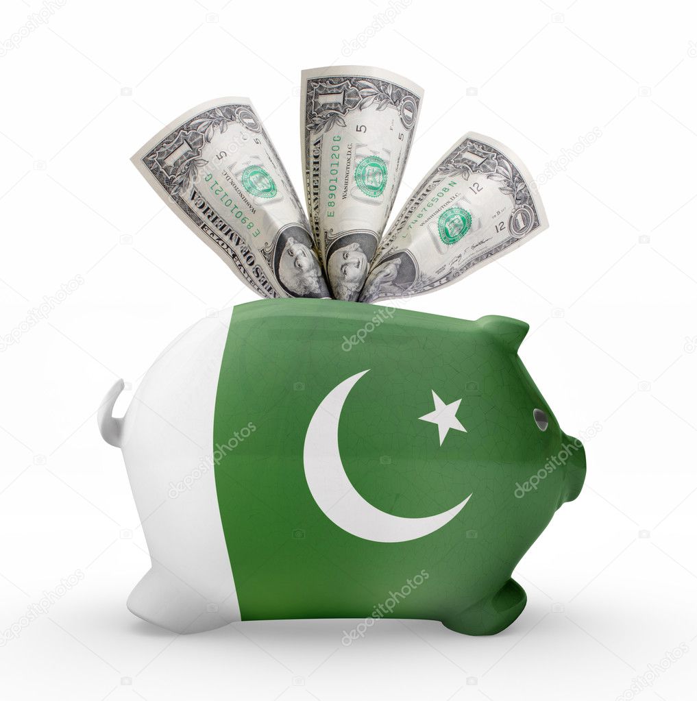 Piggy bank with the flag of Pakistan .(series)
