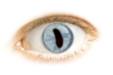 Close-up of an eye with the pupil in the shape of Howand Island.