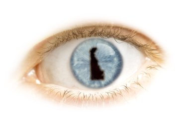 Close-up of an eye with the pupil in the shape of Delaware.(seri