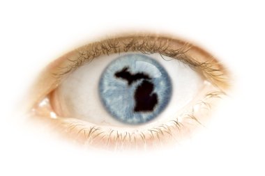 Close-up of an eye with the pupil in the shape of Michigan.(seri