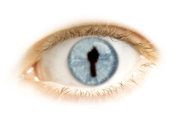 Close-up de um olho com a pupila na forma de Benim. (série ) — Fotografia de Stock