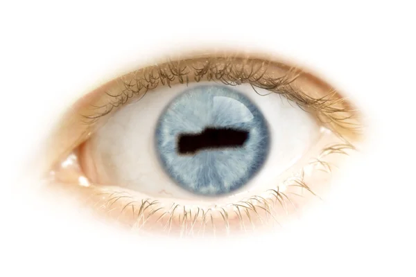 Close-up de um olho com o aluno na forma de Gâmbia. (série — Fotografia de Stock