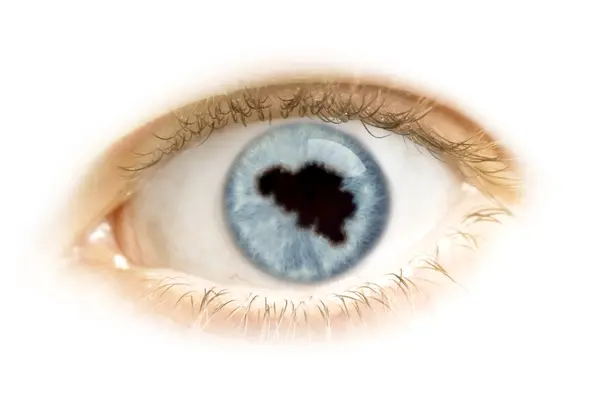 Close-up of an eye with the pupil in the shape of Belgium.(serie — Stockfoto