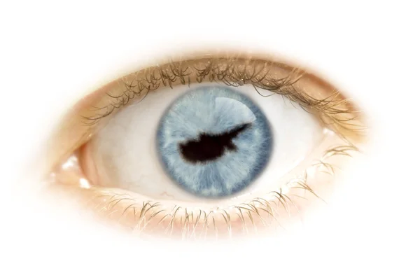 Gros plan d'un œil avec la pupille en forme de Chypre. (séries) — Photo
