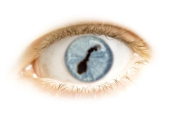 Primo piano di un occhio con la pupilla nella forma della Norvegia. (serie — Foto Stock
