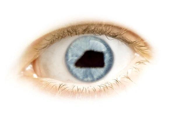 Primer plano de un ojo con la pupila en forma de isla Jarvis . — Foto de Stock