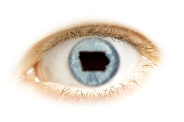 Close-up of an eye with the pupil in the shape of Iowa.(series) — Stockfoto