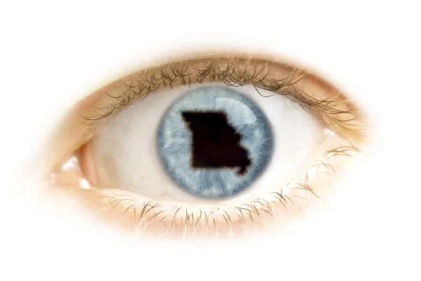 Primer plano de un ojo con la pupila en forma de Missouri. (seri — Foto de Stock