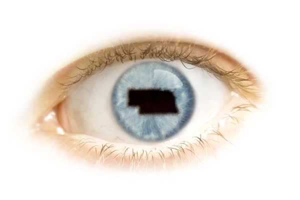 Nahaufnahme eines Auges mit der Pupille in Form von Nebraska. (seri — Stockfoto