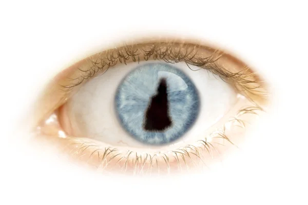 Close-up of an eye with the pupil in the shape of New Hampshire. — Stock Photo, Image