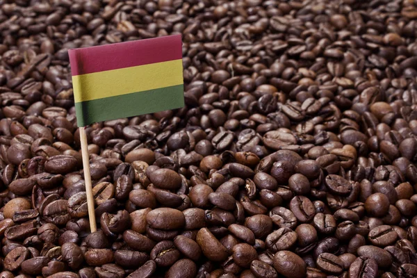 Flag of Bolivia sticking in coffee beans.(series) — 图库照片