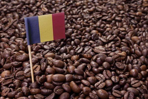 Flag of Romania sticking in coffee beans.(series) — стокове фото