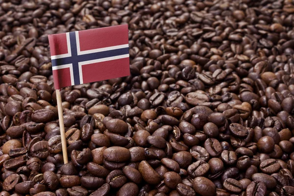 Bandeira da Noruega colando em grãos de café. (série ) — Fotografia de Stock