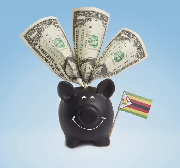 One dollar banknotes in a happy piggybank of Zimbabwe.(series) — Stock fotografie