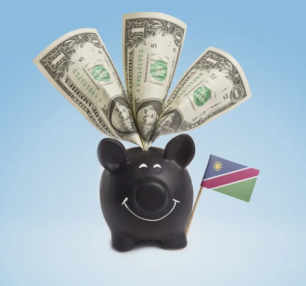 Jeden dolar bankovky v šťastné prasátko Namibie. (série) — Stock fotografie