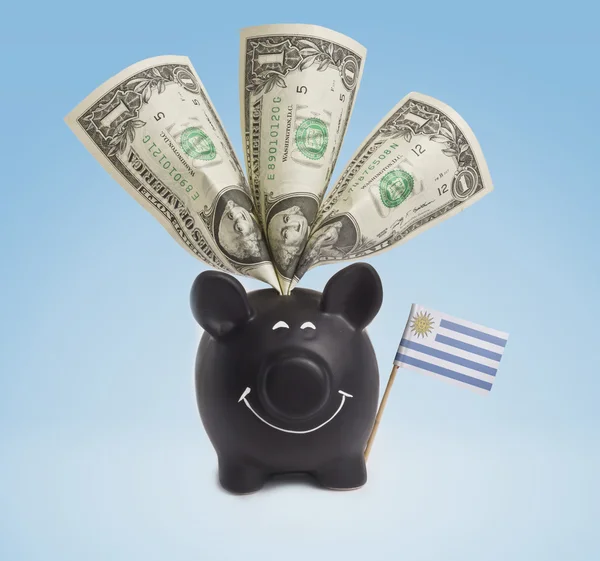 Банкноты по доллару в счастливом копилке Уругвая. (серия ) — стоковое фото