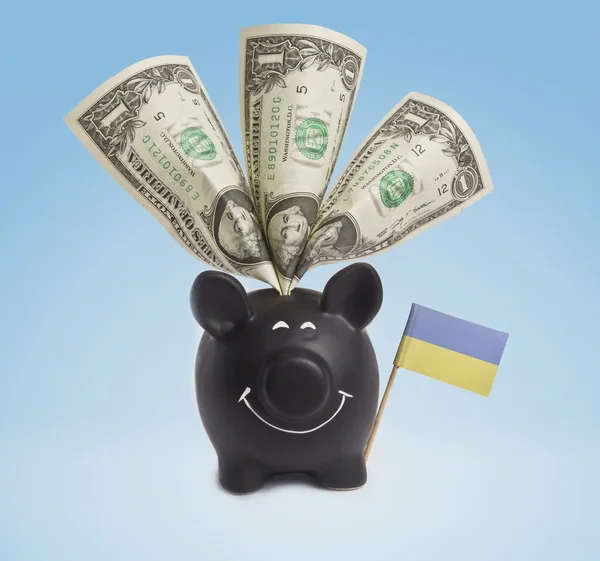 Ukrayna'nın mutlu bir servet içinde bir Doları banknot. (seri)