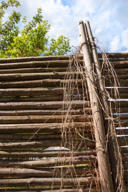 Rustik ahşap fense dikey arka plan