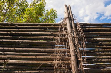 Rustik Tiriz ve çit arka plan