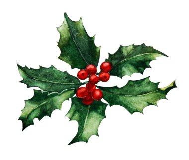 Holly.