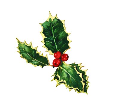 Holly 2