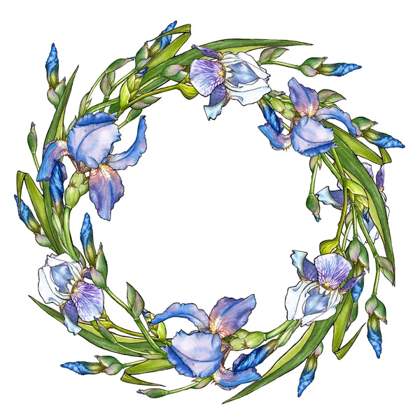 Wreath with irises — Stock Photo, Image