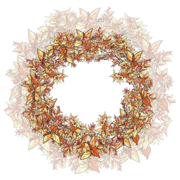 Wreath with spiraea — Stock Photo, Image