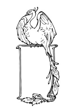 çerçeve firebird 1 ile