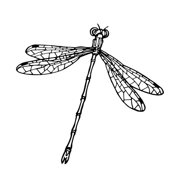 Coloring object; illustration of dragonfly — Stock Photo, Image