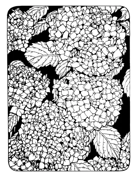 Розмальовка сторінка з квітами гортензії — стоковий вектор