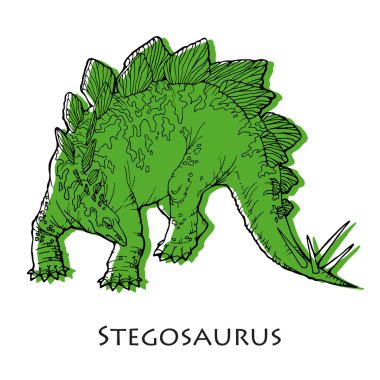 Stegosaurus çizimi;