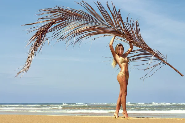 Donna in bikini posa sulla spiaggia vicino al mare con ramo di palma. Isola di Phuket, Thailandia — Foto Stock